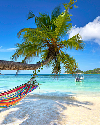 Thor_Prämienshop_V2